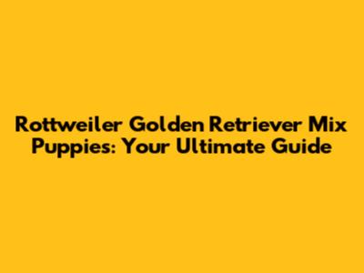 Rottweiler Golden Retriever Mix Puppies: Your Ultimate Guide