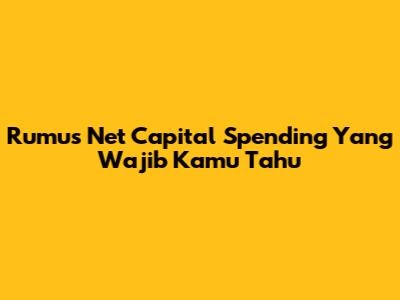 Rumus Net Capital Spending Yang Wajib Kamu Tahu