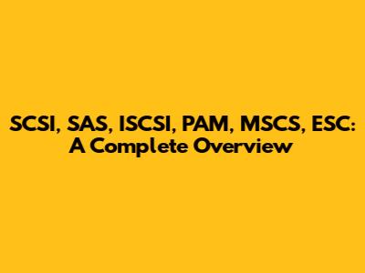 SCSI, SAS, ISCSI, PAM, MSCS, ESC: A Complete Overview
