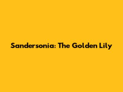 Sandersonia: The Golden Lily