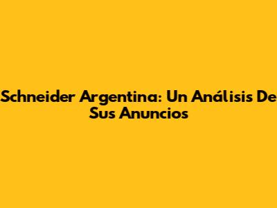 Schneider Argentina: Un Análisis De Sus Anuncios