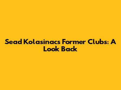 Sead Kolasinac's Former Clubs: A Look Back