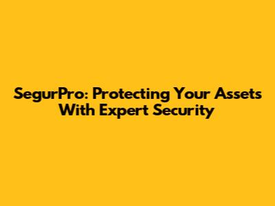 SegurPro: Protecting Your Assets With Expert Security