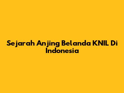 Sejarah Anjing Belanda KNIL Di Indonesia