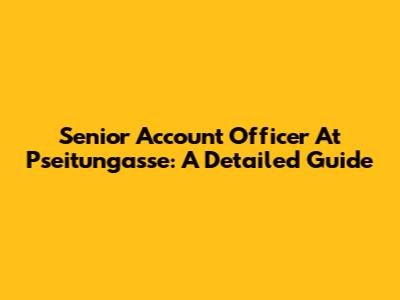 Senior Account Officer At Pseitungasse: A Detailed Guide