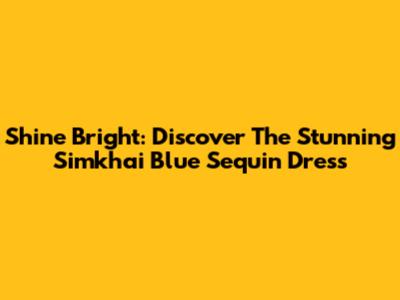 Shine Bright: Discover The Stunning Simkhai Blue Sequin Dress