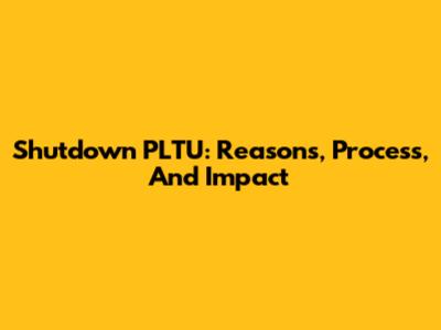 Shutdown PLTU: Reasons, Process, And Impact