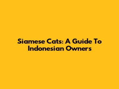 Siamese Cats: A Guide To Indonesian Owners