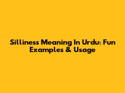 Silliness Meaning In Urdu: Fun Examples & Usage