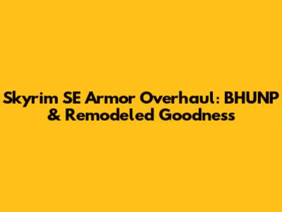 Skyrim SE Armor Overhaul: BHUNP & Remodeled Goodness