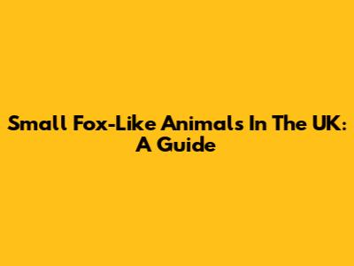 Small Fox-Like Animals In The UK: A Guide
