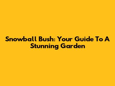 Snowball Bush: Your Guide To A Stunning Garden