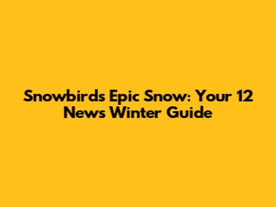 Snowbird's Epic Snow: Your 12 News Winter Guide