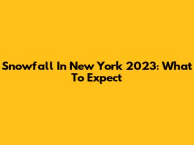 Snowfall In New York 2023: What To Expect