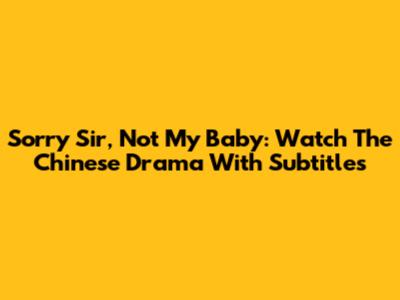Sorry Sir, Not My Baby: Watch The Chinese Drama With Subtitles