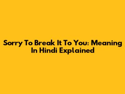 Sorry To Break It To You: Meaning In Hindi Explained