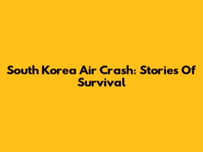South Korea Air Crash: Stories Of Survival
