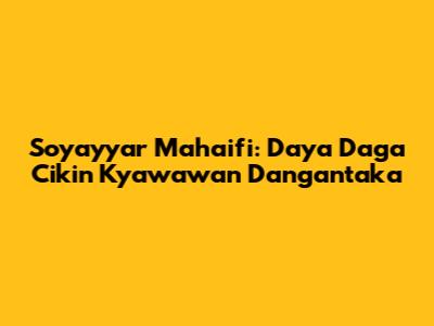Soyayyar Mahaifi: Daya Daga Cikin Kyawawan Dangantaka