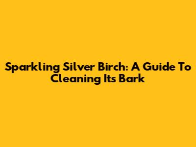Sparkling Silver Birch: A Guide To Cleaning Its Bark