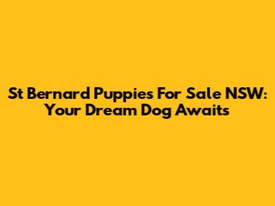 St Bernard Puppies For Sale NSW: Your Dream Dog Awaits