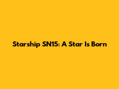 Starship SN15: A Star Is Born