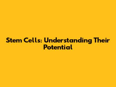Stem Cells: Understanding Their Potential