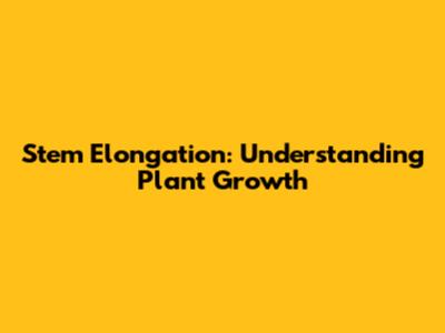Stem Elongation: Understanding Plant Growth