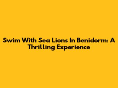 Swim With Sea Lions In Benidorm: A Thrilling Experience