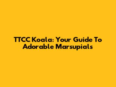TTCC Koala: Your Guide To Adorable Marsupials