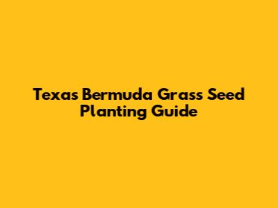 Texas Bermuda Grass Seed Planting Guide