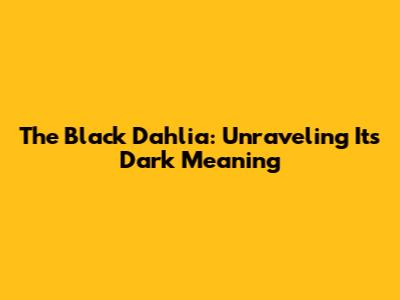 The Black Dahlia: Unraveling Its Dark Meaning