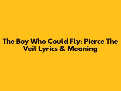 The Boy Who Could Fly: Pierce The Veil Lyrics & Meaning