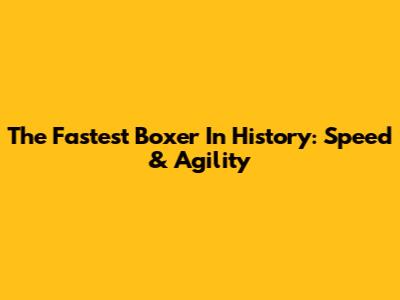 The Fastest Boxer In History: Speed & Agility