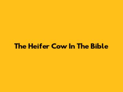 The Heifer Cow In The Bible