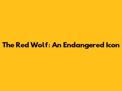 The Red Wolf: An Endangered Icon