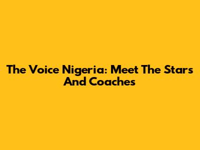 The Voice Nigeria: Meet The Stars And Coaches