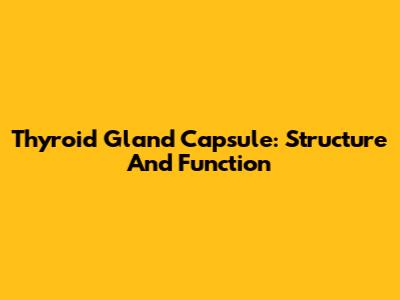 Thyroid Gland Capsule: Structure And Function