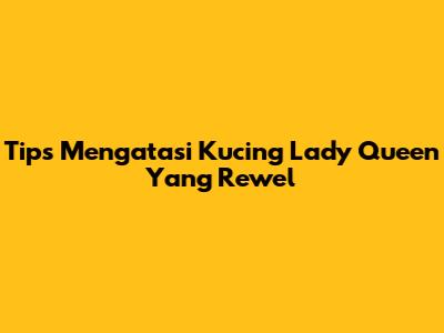 Tips Mengatasi Kucing "Lady Queen" Yang Rewel