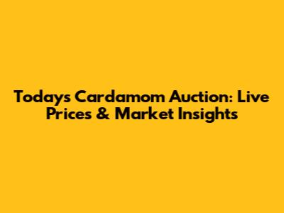 Today's Cardamom Auction: Live Prices & Market Insights