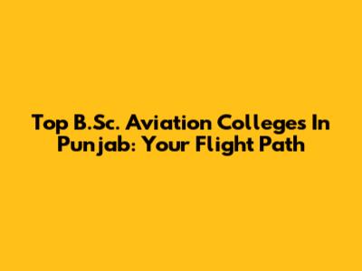 Top B.Sc. Aviation Colleges In Punjab: Your Flight Path