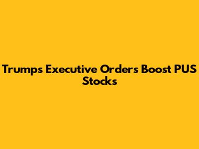 Trump's Executive Orders Boost PUS Stocks