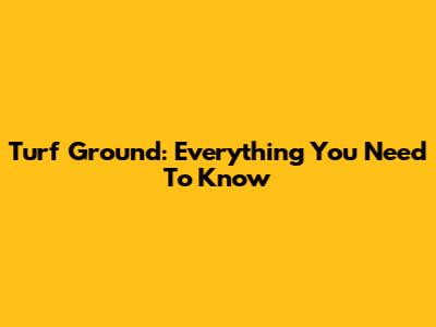 Turf Ground: Everything You Need To Know