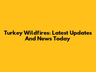 Turkey Wildfires: Latest Updates And News Today