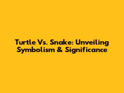 Turtle Vs. Snake: Unveiling Symbolism & Significance