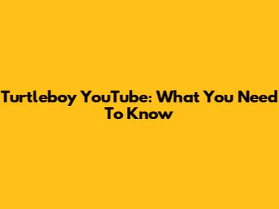 Turtleboy YouTube: What You Need To Know