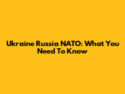 Ukraine Russia NATO: What You Need To Know