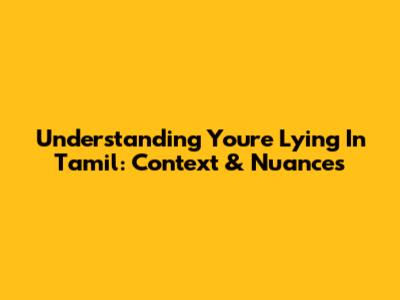 Understanding 'You're Lying' In Tamil: Context & Nuances