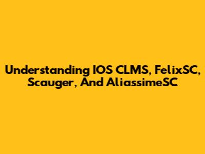 Understanding IOS CLMS, FelixSC, Scauger, And AliassimeSC