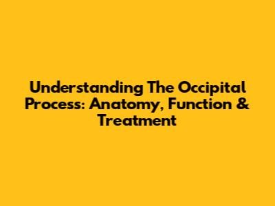 Understanding The Occipital Process: Anatomy, Function & Treatment
