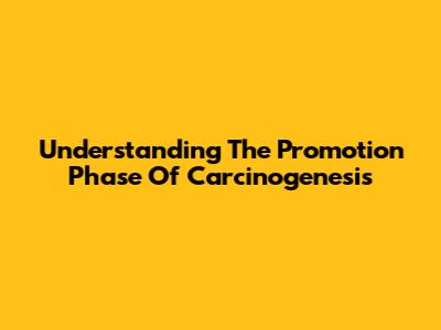Understanding The Promotion Phase Of Carcinogenesis